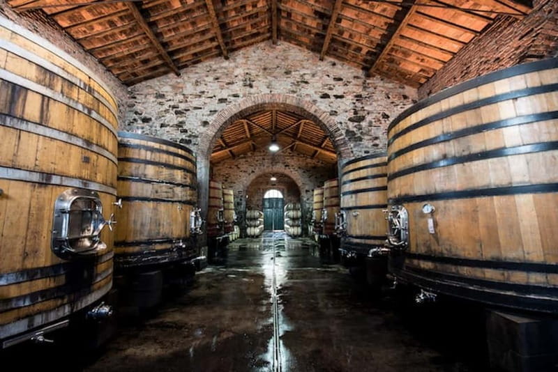 Tenimenti d'Alessandro - Visit the winery and wine tasting - What You Can Expect on Your Visit