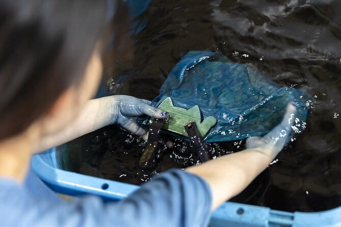 Tenugui Dyeing Experience Tour From Nagoya With English Guide - Inclusions and Exclusions