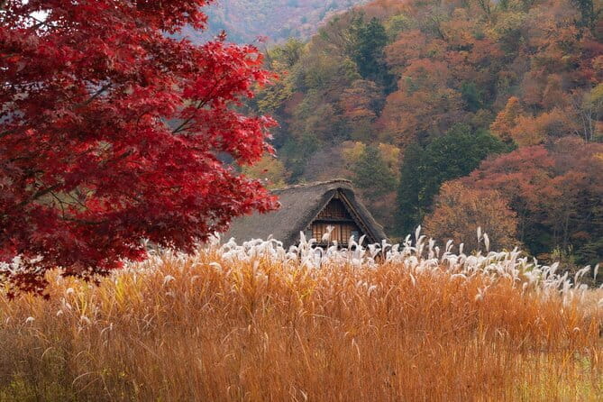 Tenugui Dyeing Experience Tour From Nagoya With English Guide - Accessibility and Participation