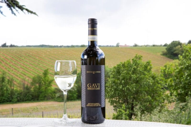 Tenuta San Lorenzo: Wine & Food Tasting Experience - The Route Through Piedmont’s Vineyards and Cellars