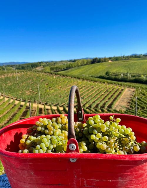 Tenuta San Lorenzo: wine tasting and winery tour - Who Should Consider This Tour?
