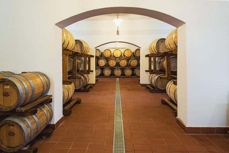 Tenute di Fraternita - Wine tasting in the Arezzo countryside - Who Will Love This Experience?