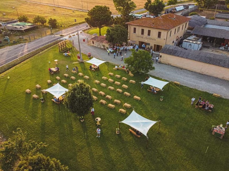 Tenute di Fraternita - Wine tasting in the Arezzo countryside - Is It Worth the Price?