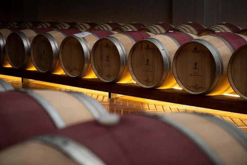 Tenute Girolamo: Winery Tour and VIP Tasting in Itria Valley - Price and Logistics: What You Should Know