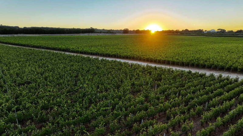 Tenute Girolamo: Winery Tour and VIP Tasting in Itria Valley - FAQs