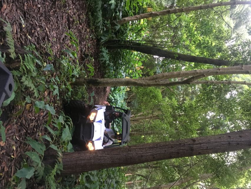 Terceira: 4x4 Buggy Tour West Side Azores Retreat - Highlights of the Experience