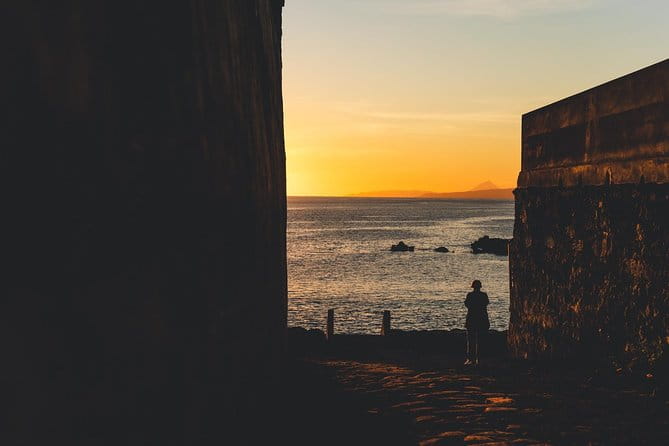 Terceira Island Best Viewpoints: Half Day Tour - Final Thoughts: Who Should Book This?