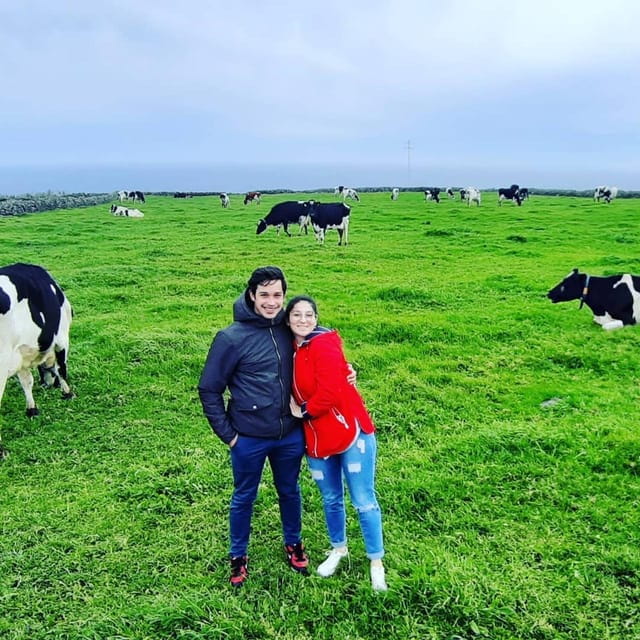 Terceira Island: Full Day Van Tour - Key Points / Takeaways