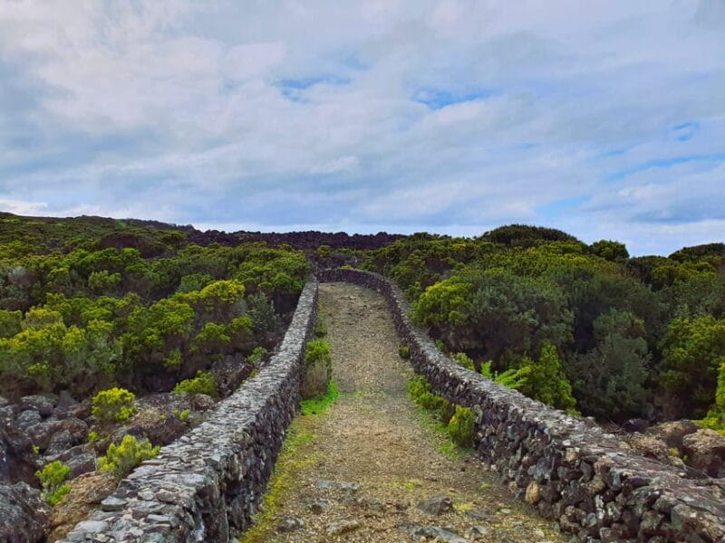 Terceira Island Half Day Hiking Trail: Baías da Agualva - Discovering the Baías da Agualva Trail