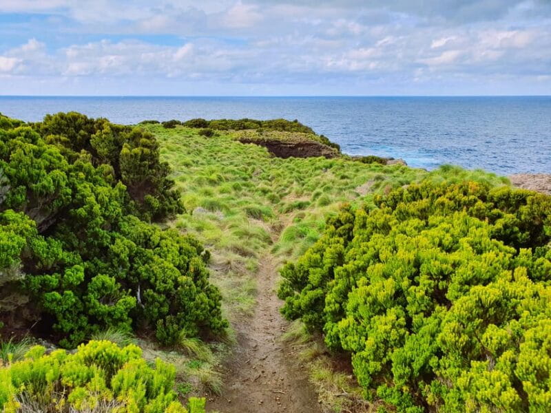 Terceira Island Half Day Hiking Trail: Baías da Agualva - FAQ