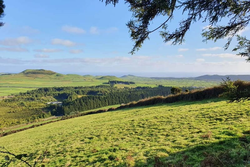 Terceira Island: Half-Day Hiking with Cheese Tasting - Key Points / Takeaways