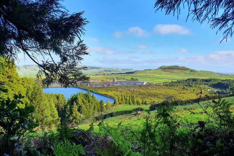 Terceira Island: Half-Day Hiking with Cheese Tasting - Discovering the Wonders of Caldeira Guilherme Moniz