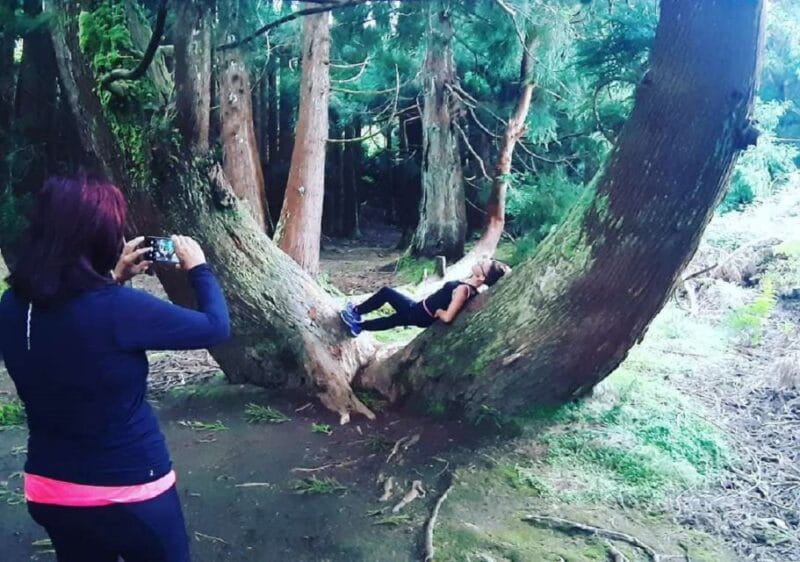 Terceira Island : Hiking Trail Rocha do Chambre - FAQ