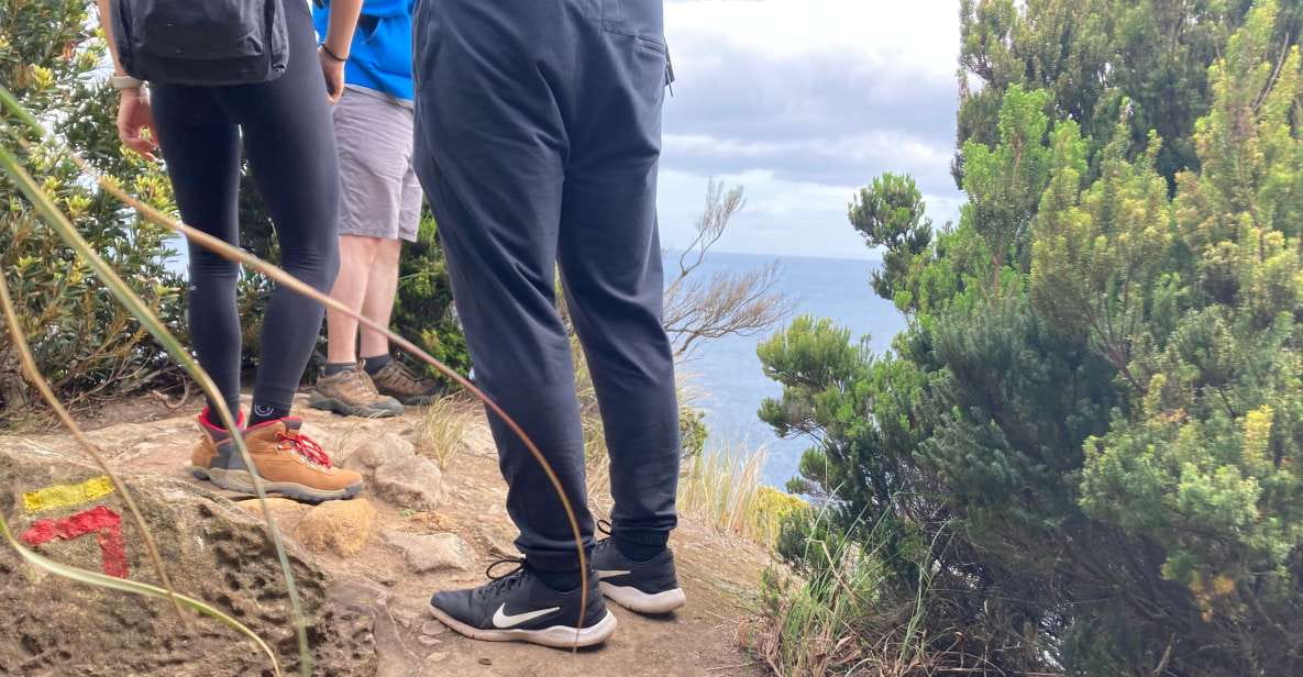 Terceira: Island Trails Scenic Hiking Tour With Transfer - Rocha Do Chambre Trail