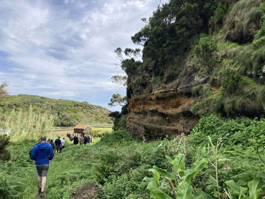 Terceira: Island Trails Scenic Hiking Tour With Transfer - Baías Da Agualva Trail