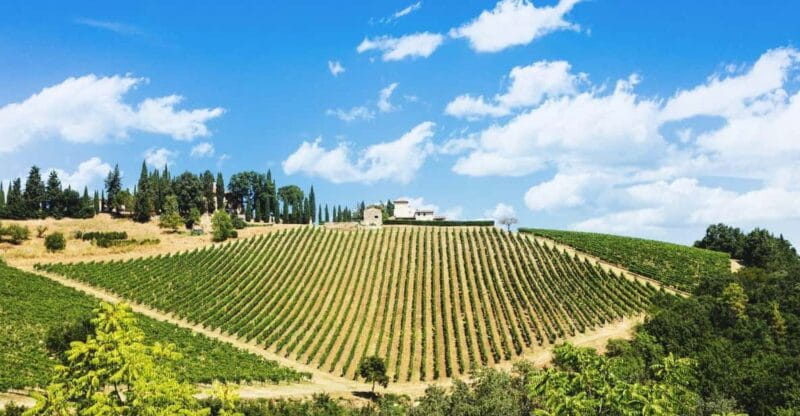 Terricciola Valdera E-Bike Tour + Wine Tasting, Photo Shoot - Key points / Takeaways