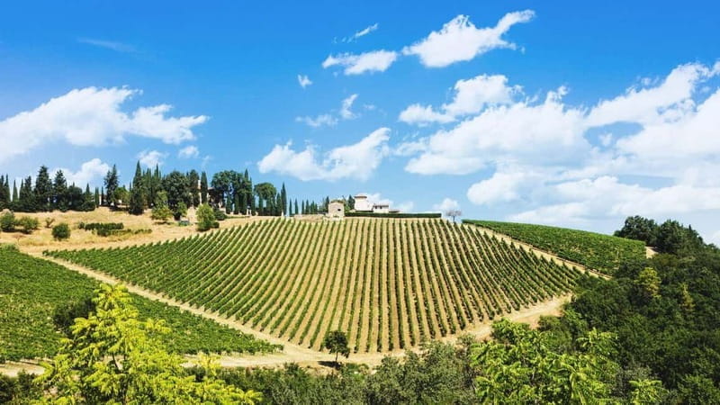 Terricciola Valdera E-Bike Tour + Wine Tasting, Photo Shoot - The Itinerary: A Day in the Tuscan Hills on Two Wheels