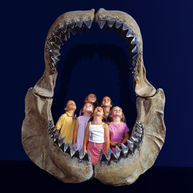 Teruel: Dinópolis Entry Ticket - Things To Know