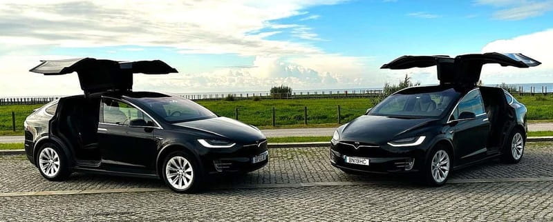 Tesla Premium Private Tours - Porto to Douro Valley - Key points/Takeaways