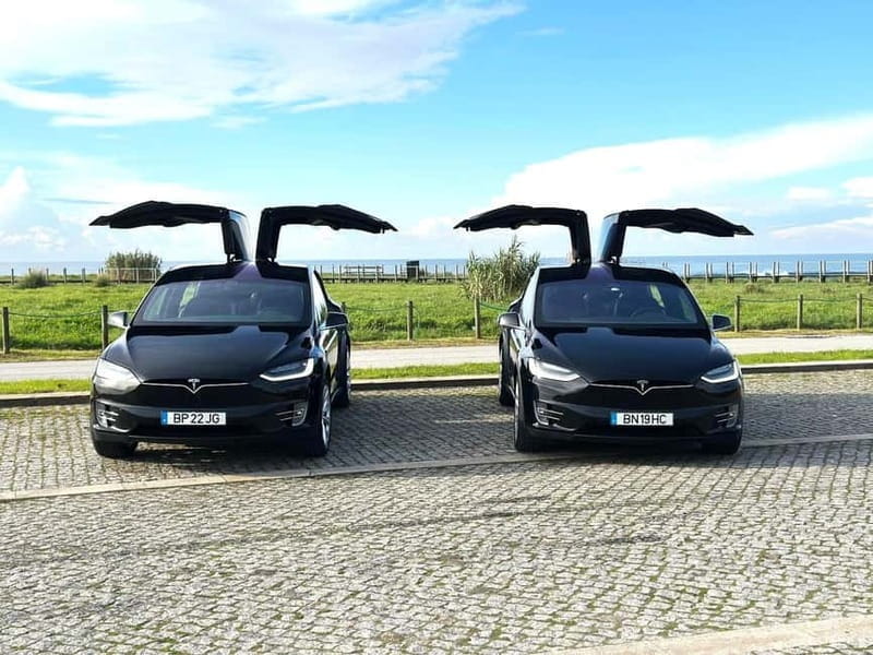 Tesla Premium Private Tours - Porto to Douro Valley - Exploring Douro’s Highlights: Wine, Water, and Wonders