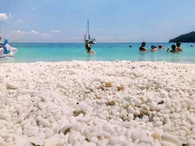 Thassos: Full-Day Cruise with BBQ, Wine, and Swim Stops - Price & Logistics: Assessing the Value