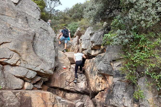 The Adventurous Route to Mirador del Garbí - The guide’s role: making the difference