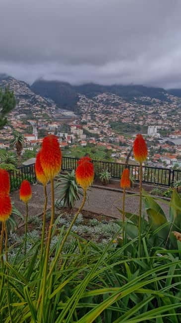 THE AMAZING OFF ROAD BBQ PICNIC CABLE CAB TOUR - Key points / Takeaways