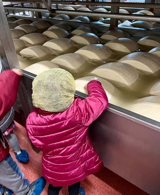 The Art of Parmigiano Reggiano & Aged Balsamic Vinegar - Frequently Asked Questions