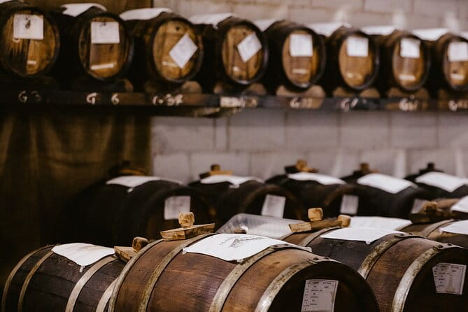 The art of Parmigiano Reggiano and real Balsamic vinegar - Who Is This Tour Best Suited For?