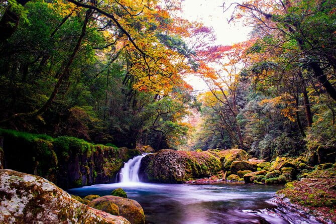 The Aso Caldera & WAGYU Lunch One Day Tour From Fukuoka - Important Notes and Considerations