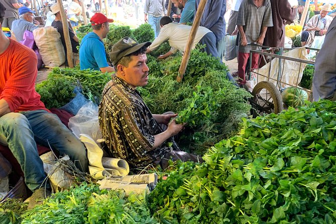 The Atlas Mountains and 5 Valleys Day Trip From Marrakech With Berber Lunch - Meeting Points in Marrakech