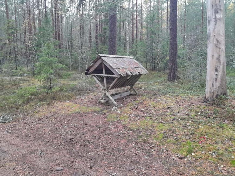 The Authentic Lahemaa daytour Carmen reisid - Key points / Takeaways