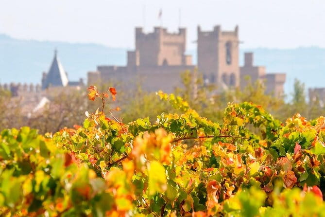 The Authentic Rioja Alavesa wine experiences - FAQ