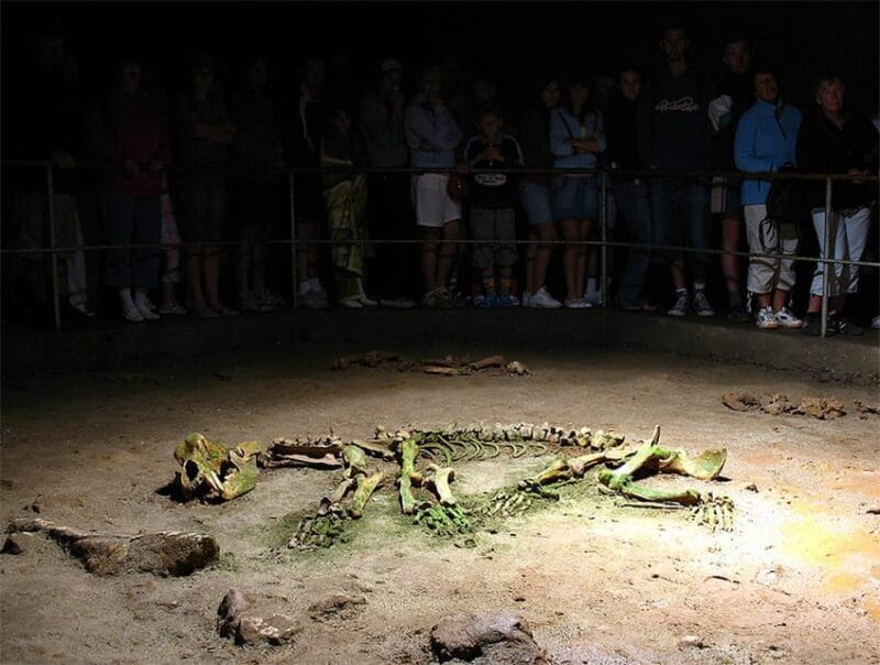 The Bear's cave: 1 day airconditioned car tour from Oradea - Entering Romania’s Most Beautiful Cave