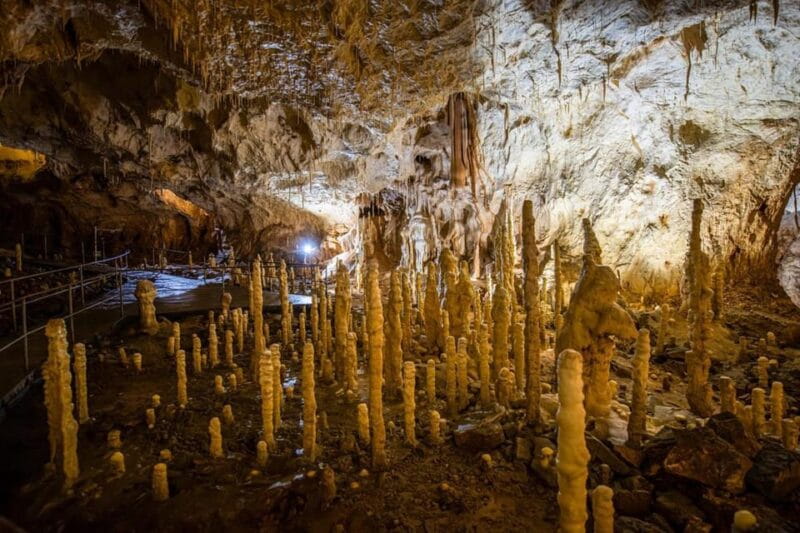 The Bear's cave: 1 day airconditioned car tour from Oradea - Who Should Consider This Tour?