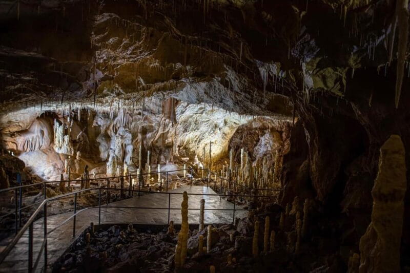 The Bear's cave: 1 day airconditioned car tour from Oradea - FAQ: Your Questions About the Bear’s Cave Tour Answered