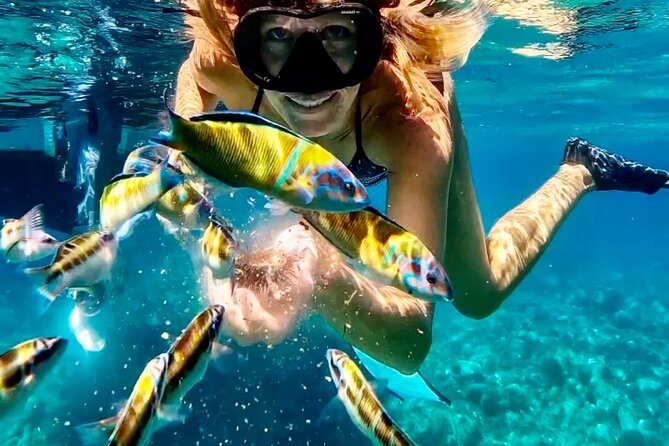 The Best Boat Tour From Tropea to Capovaticano, Max 12 Passengers - Exceptional Guest Ratings and Reviews