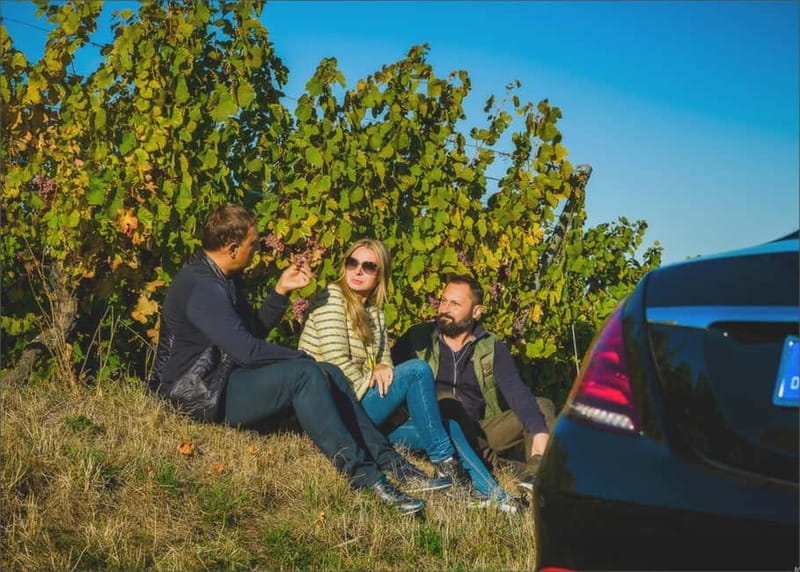 The Best in Baden-Baden and Blackforest - Transportation and Logistics: Comfort and Flexibility