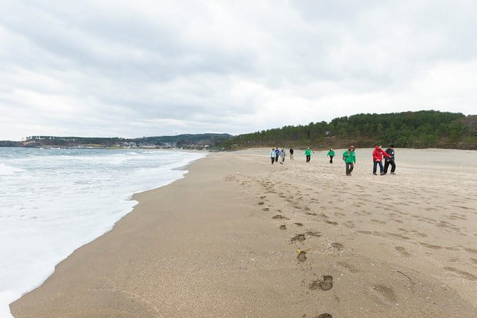 The Best Morning and Michinoku Shiokaze Trail Trekking in the Tanesashi Coast Natural Grassland - Preparing for the Best Morning and Michinoku Shiokaze Trail Trekking