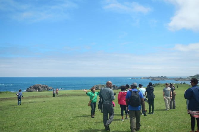 The Best Morning and Michinoku Shiokaze Trail Trekking in the Tanesashi Coast Natural Grassland - Meeting at the Tanesashikaigan Information Center