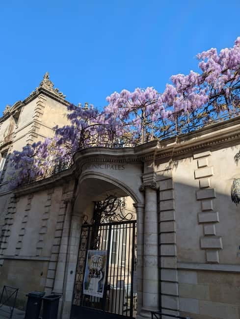 The Best of Bordeaux Walking Tour + 1 Glass of Wine - What Makes This Tour Stand Out?