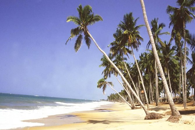 The Best Of Cape Coast Tour - Traversing Kakum National Park