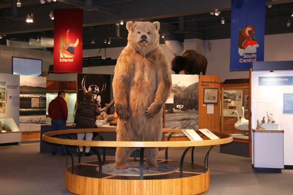 The Best of Fairbanks: Half-Day City Highlights Tour - Key Points