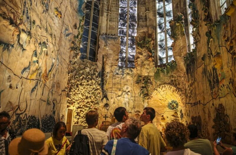 The Best of Palma: Boat trip, Walking tour and Cathedral - Who Will Love This Tour?