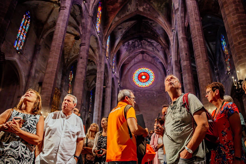 The Best of Palma: Boat Trip, Walking Tour and Cathedral - What to Expect on the Tour