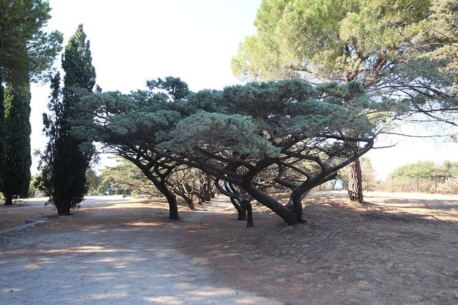 The Best of Rhodes & Lindos: Full Island Tour (Small Group) - Final Thoughts