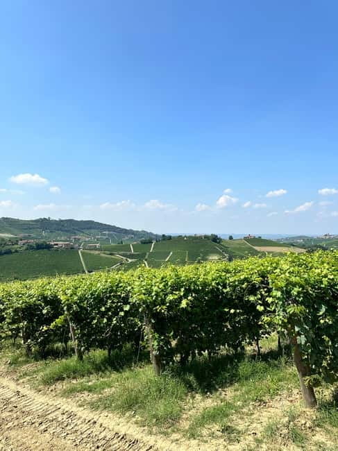 The Best of the Langhe: Wine Tasting & Traditional Meal - The Culinary Experience at Lostu
