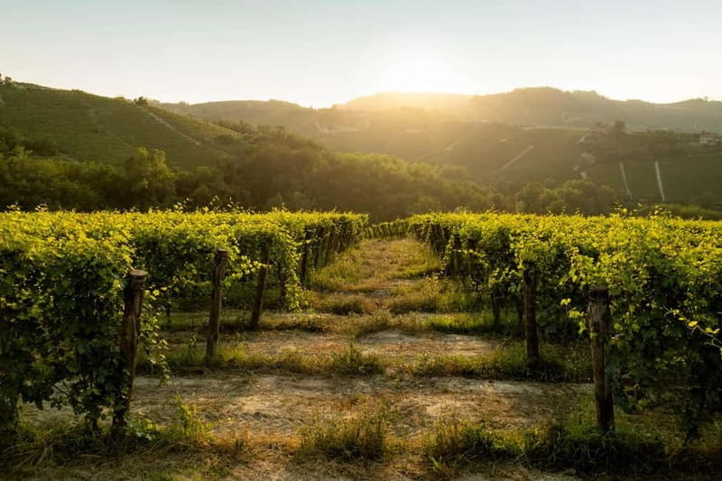 The Best of the Langhe: Wine Tasting & Traditional Meal - Practical Details and Tips