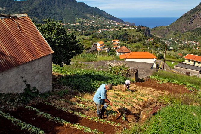 The Best of the South - Jeep Safari Tour - Full Day - Tour Highlights