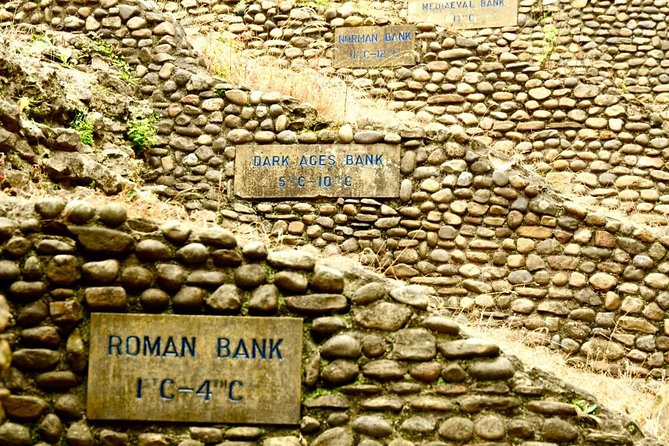 The Best of York on Foot in a Small Group - Tour Details